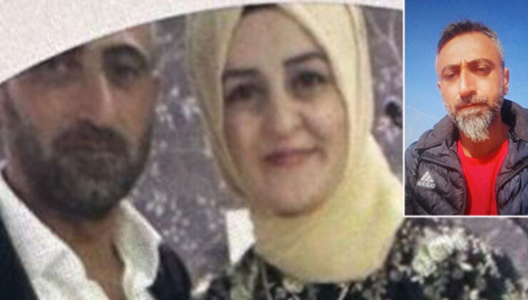 Kelebek misali… Bir haftalık özgürlük!