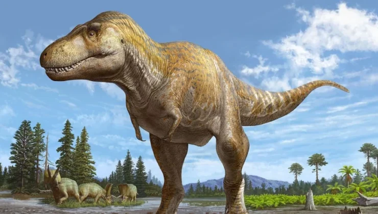 Tyrannosaurus rex’in Yakın Kuzeni Bulundu: 72 Milyon Yıllık Yeni Türe ‘T. mcraeensis’ Adı Verildi
