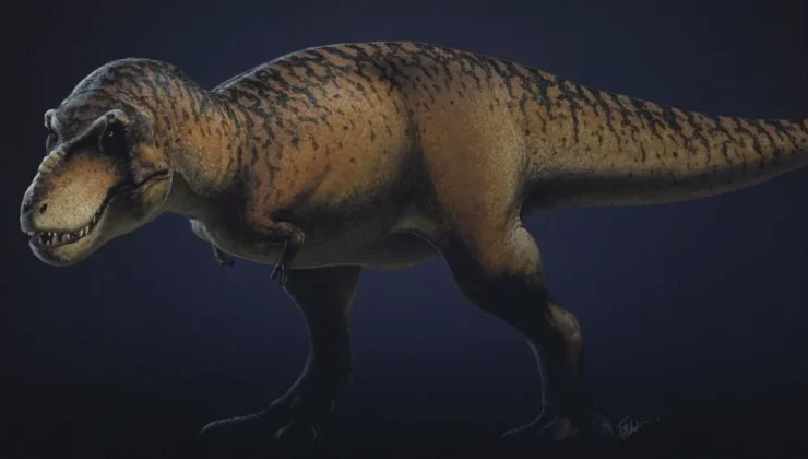 Tyrannosaurus rex’i tahttan indiren keşif: ‘Ejderha Prensi’ dinozor tarihini yeniden yazıyor