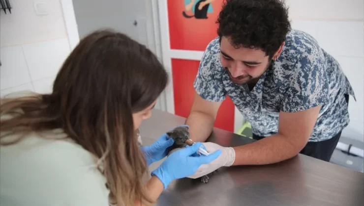 Konak Belediyesi, binlerce sokak hayvanına sağlık ve sıcak yuva imkânı sağladı