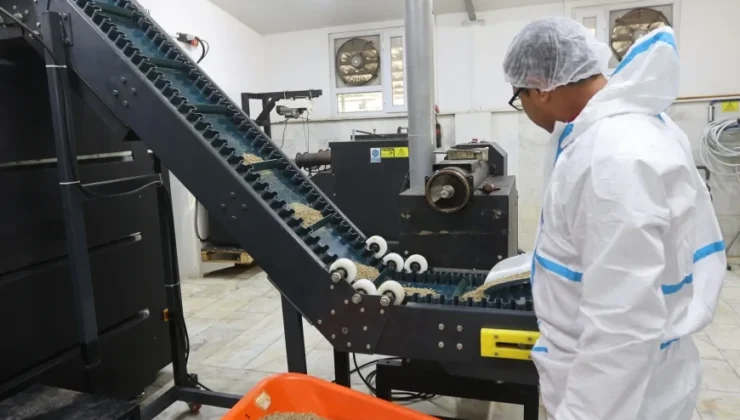 Ahmet Aras: “Can Dostlarımız İçin Ürettiğimiz 42 Ton Mamayla Türkiye’ye Örnek Oluyoruz”