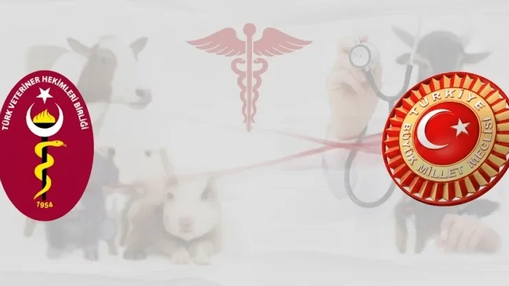 Yeni Ruhsat Harçları Veteriner Hekimlik Hizmetlerini Zora Sokuyor: TVHB “Düzenleme Geri Çekilmeli” Çağrısı Yaptı