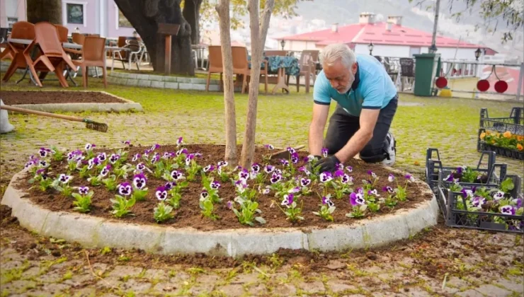 Giresun Belediyesi Şehrin Meydanlarını Mevsimlik Çiçeklerle Renklendirdi