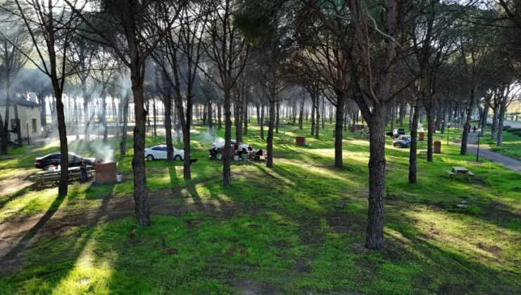 Altınova’da Yeni Mesire Alanı Açıldı: Çam Ağaçları Arasında 150 Kişilik Sosyal Yaşam Noktası Kullanıma Sunuldu