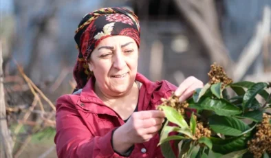 Dünya Toprak Günü’nde Yalovalı Çiftçiler Üretim Yolculuklarını Anlattı: “Toprakla uğraşmak insanla mücadele etmekten daha kolay”