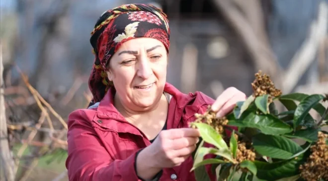 Dünya Toprak Günü’nde Yalovalı Çiftçiler Üretim Yolculuklarını Anlattı: “Toprakla uğraşmak insanla mücadele etmekten daha kolay”